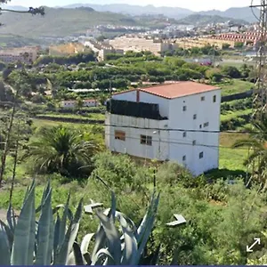-the Garden - , Las Palmas de Gran Canaria España